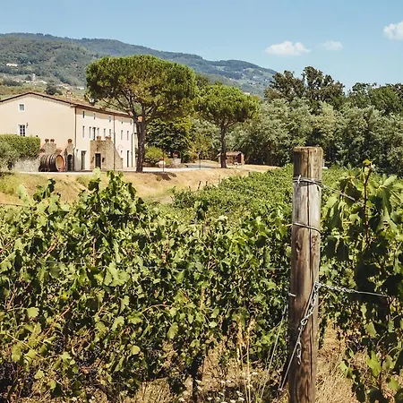 Fattoria Camigliano, Luxury With Pool Inside A Wine Estate