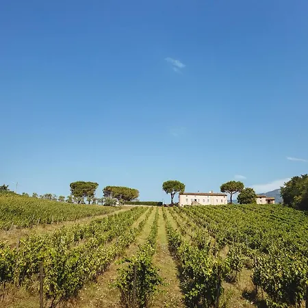 Fattoria Camigliano, Luxury With Pool Inside A Wine Estate 빌라