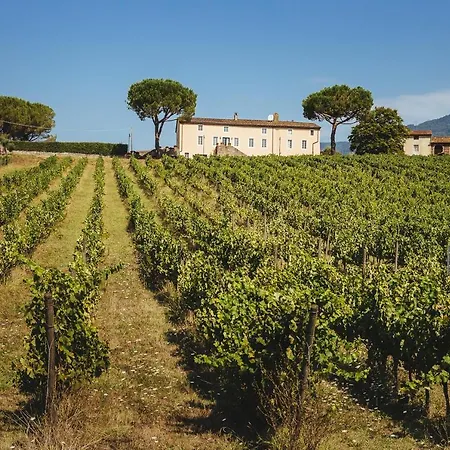 Fattoria Camigliano, Luxury With Pool Inside A Wine Estate