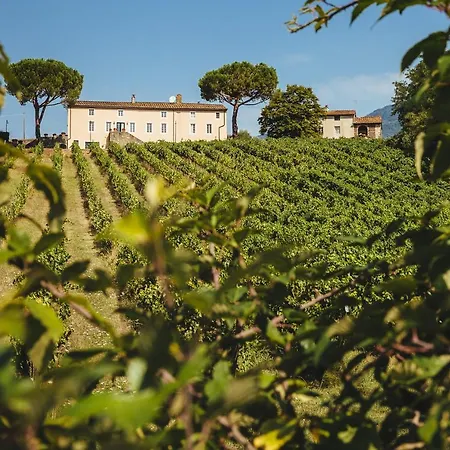 Fattoria Camigliano, Luxury With Pool Inside A Wine Estate Villa Capannori